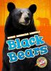 Book cover for "Black bears".