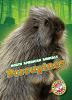 Book cover for "Porcupines".