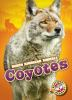 Book cover for "Coyotes".