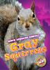 Book cover for "Gray squirrels".