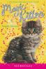 Book cover for "Seaside mystery".