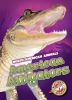 Book cover for "American alligators".