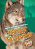 Book cover for "Gray wolves".