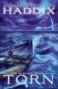 Book cover for "Torn".