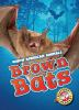 Book cover for "Brown bats".