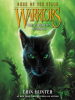 Book Cover for "The Forgotten Warrior"
